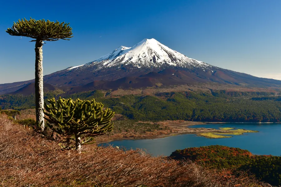 Panorámica del volcán Llaima y la Laguna Conguillío desde Sierra Nevada, Parque Nacional Conguillío.